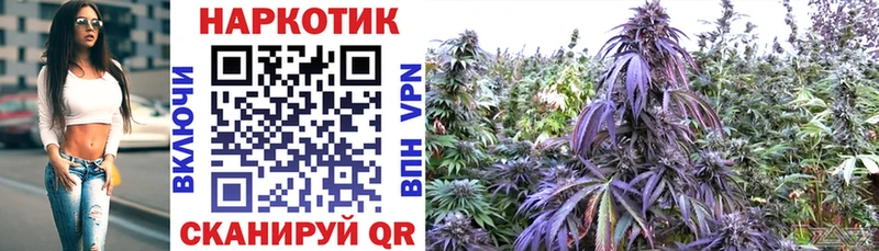 Наркота Светогорск Гашиш  Галлюциногенные грибы  Меф мяу мяу  Каннабис  APVP 