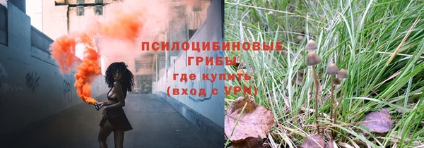 герыч Бикин